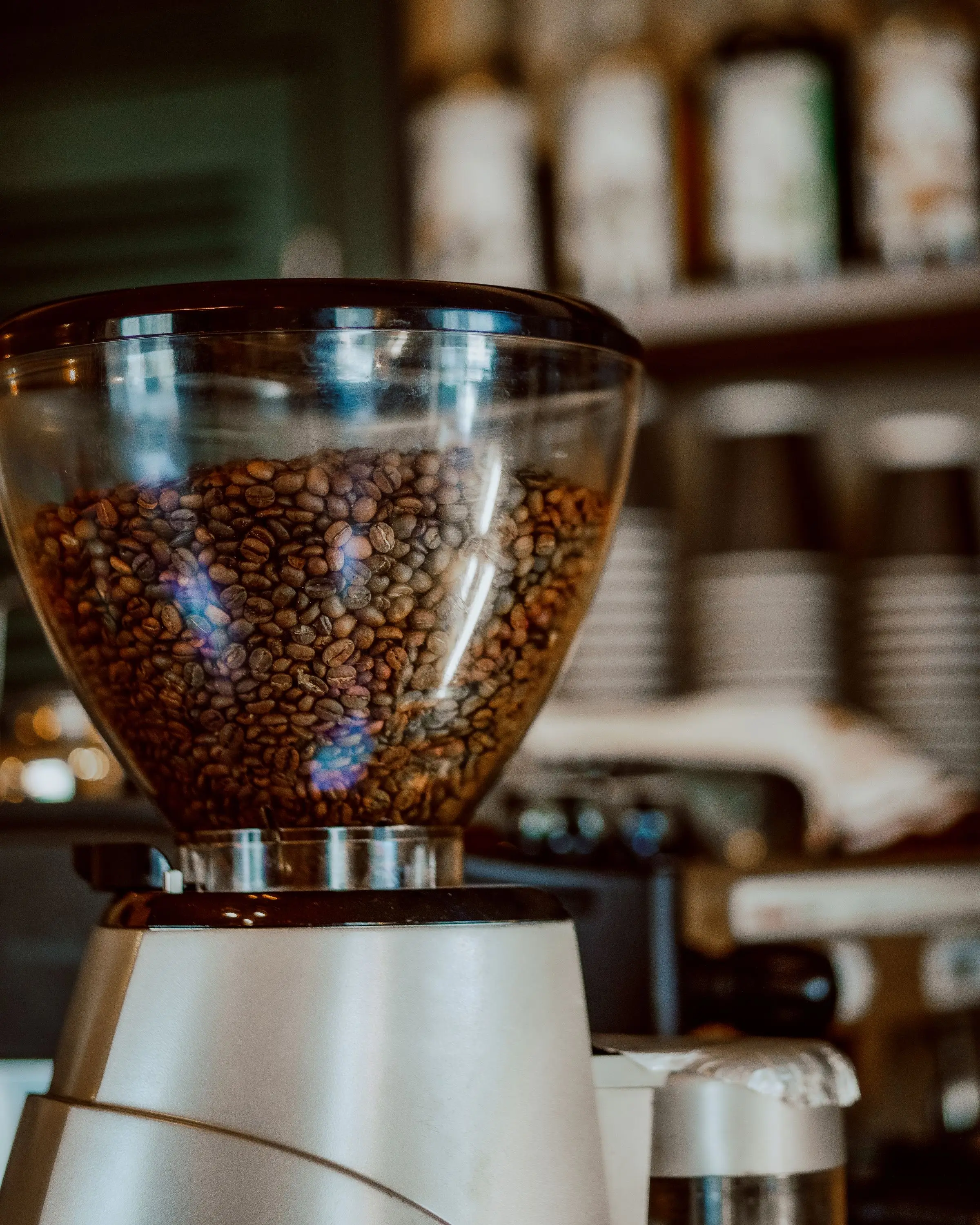 A clear hopper filled with roasted coffee beans on top of a grinder, with the counter behind it out of focus.